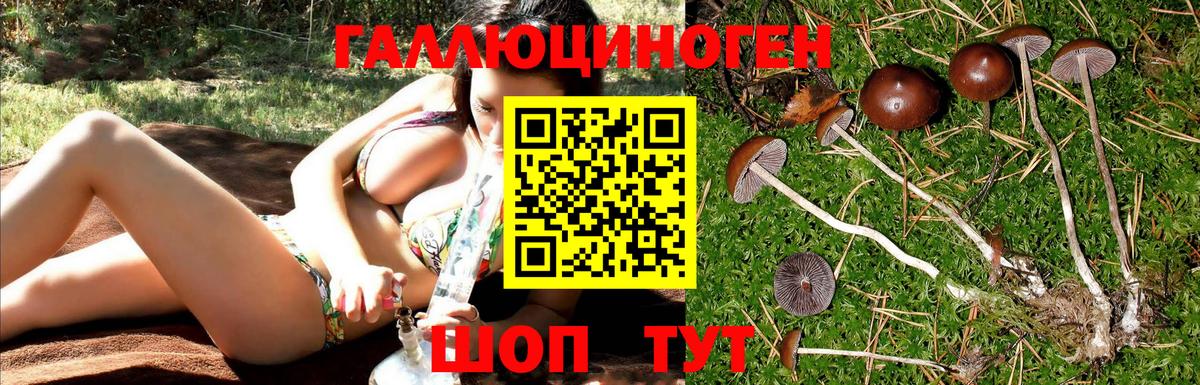 Петропавловск-Камчатский  Галлюциногенные грибы ЛСД  Вход с VPN 