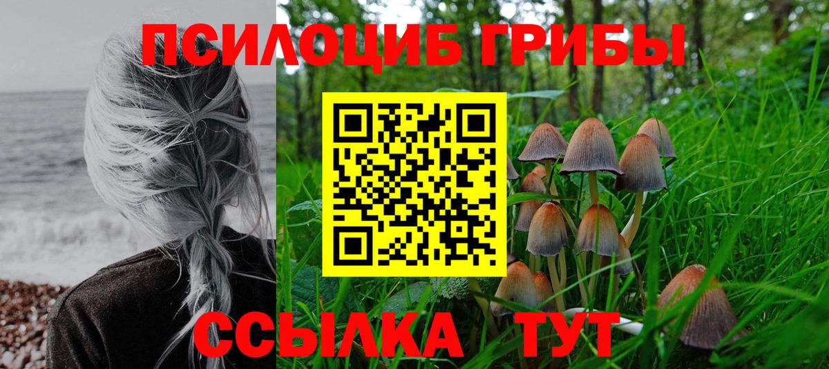 Псилоцибиновые грибы MAGIC MUSHROOMS Петропавловск-Камчатский